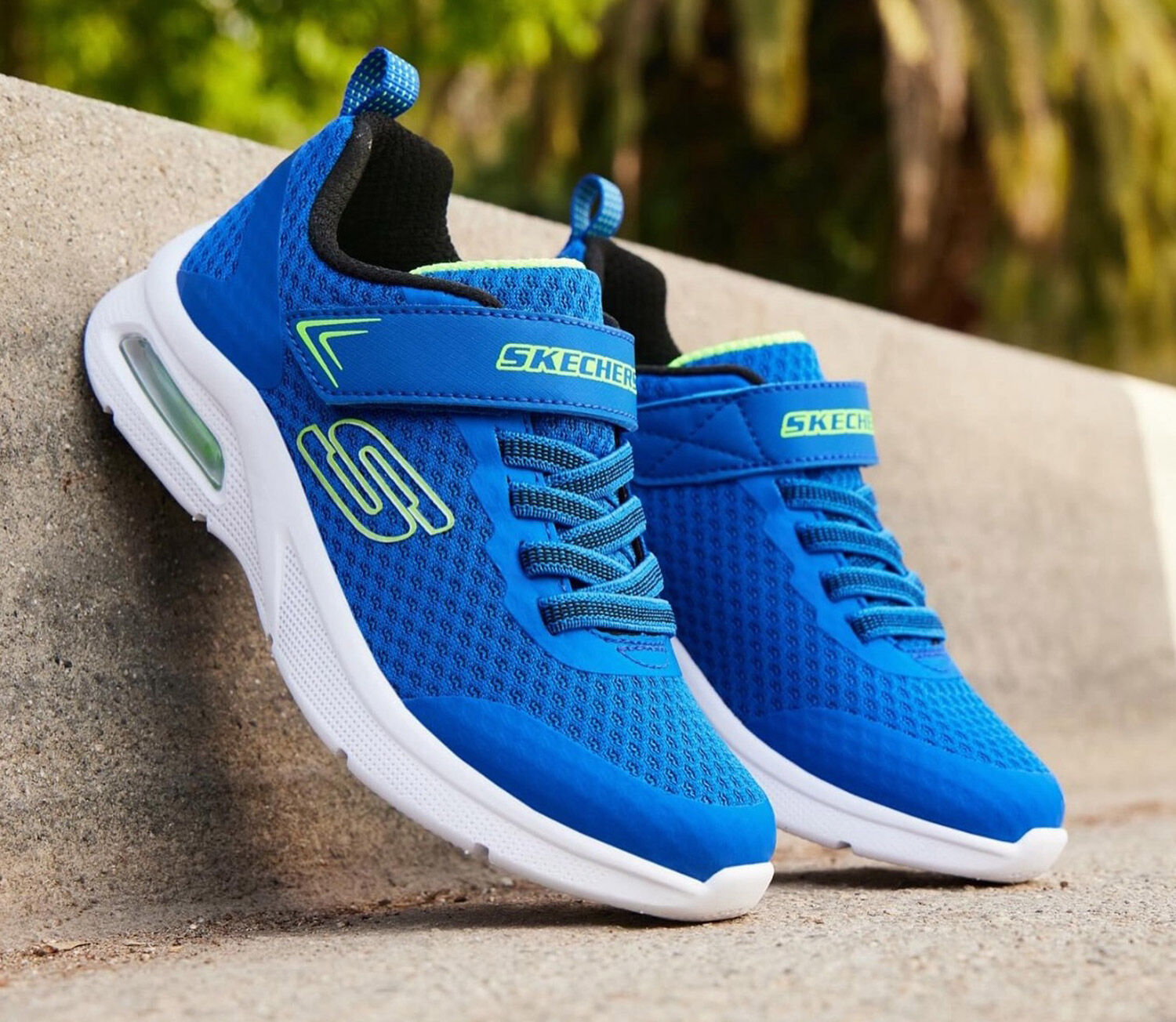 Skechers Sport